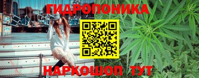 хмурый Тула