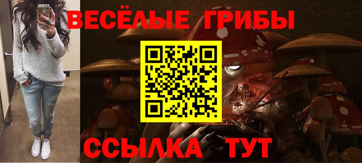 Псилоцибиновые грибы мухоморы Орехово-Зуево